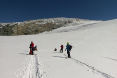 02.09 - BISHORN (130)