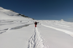 02.09 - BISHORN (135)