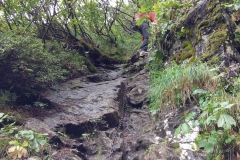 02.09 - BISHORN (21)