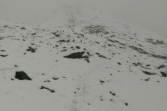 02.09 - BISHORN (52)