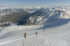 02.09 - BISHORN (91)